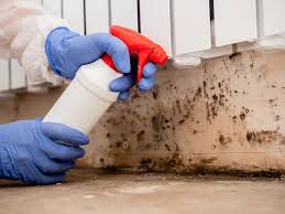 Best Forensic Mold Investigation  in Dayton, NJ